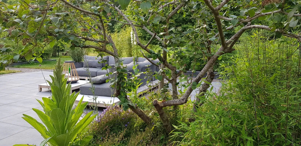 Terras in Roderesch