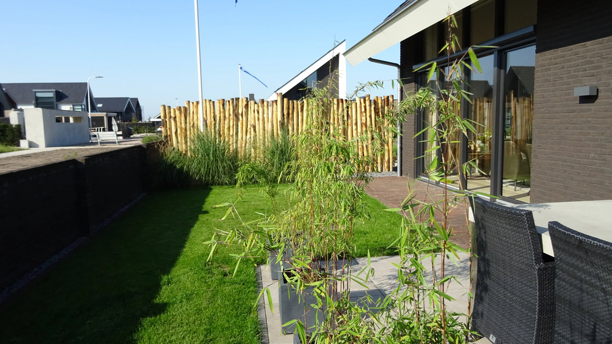 Aanleg tuin in Meppel